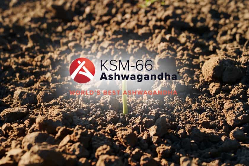 Ksm Second Innovation Update