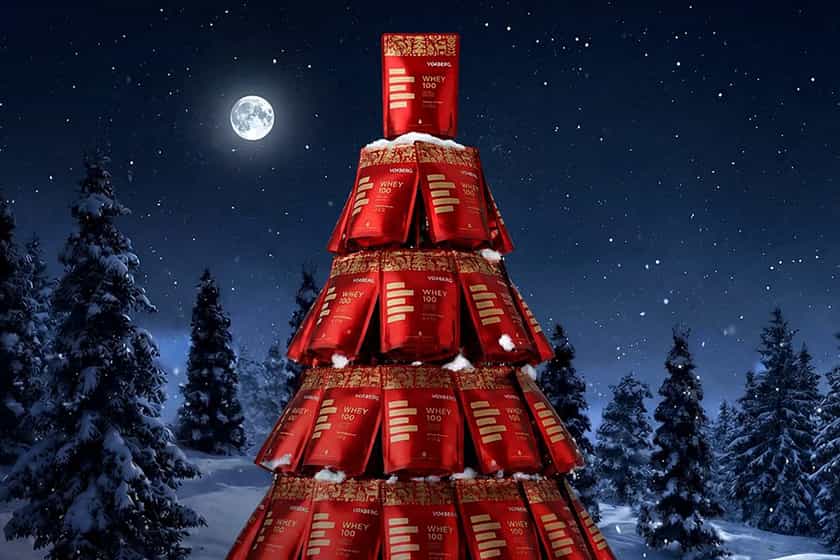 Voxberg Gingerbread Protein Powder