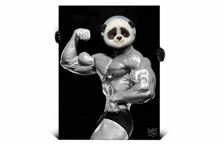 Panda At Stack3d Pavilion 26