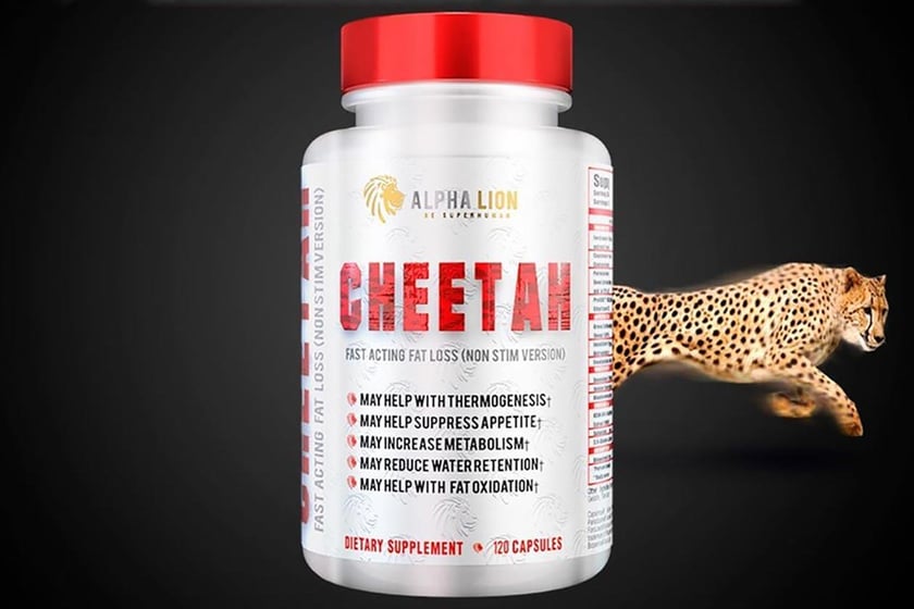 alpha lion cheetah burn