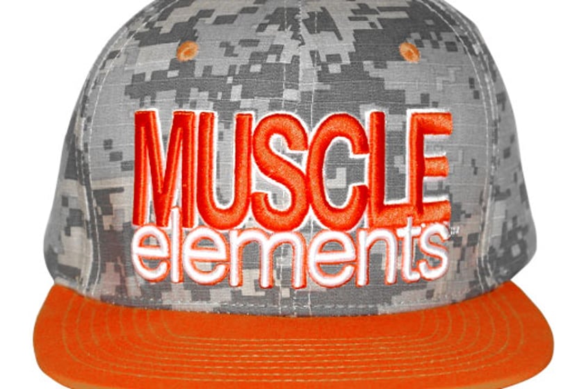 muscle elements