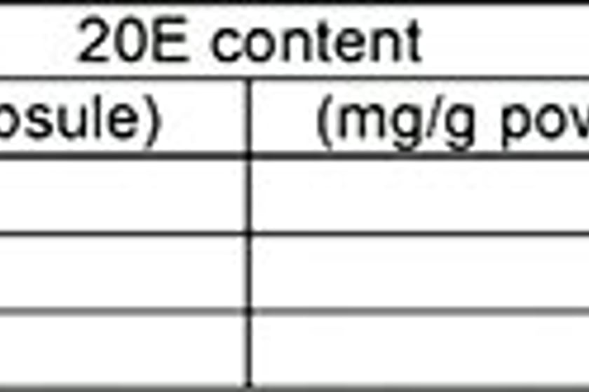 Htlt Turk Builder Lab Tests