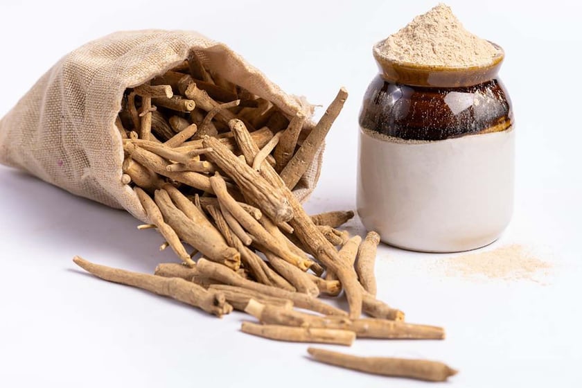 Why KSM-66® is the go-to premium ashwagandha for year-round performance 
