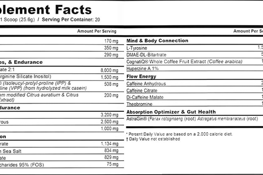 We Go Home Double Dragon Label
