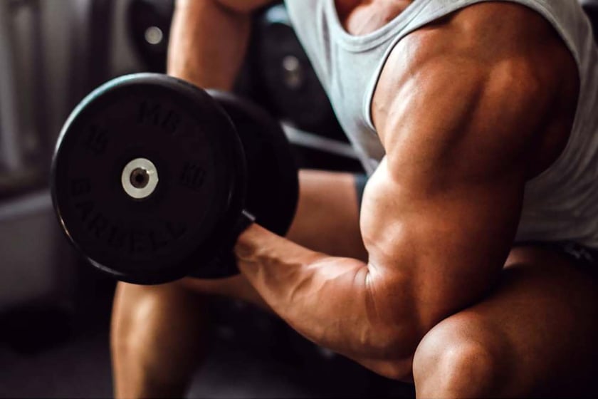 Ashwagandha For Strength And Size