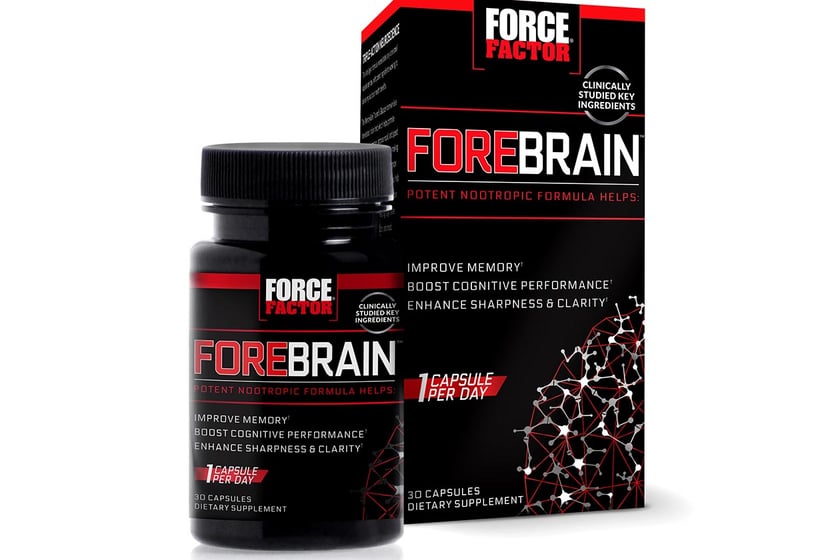 forebrain