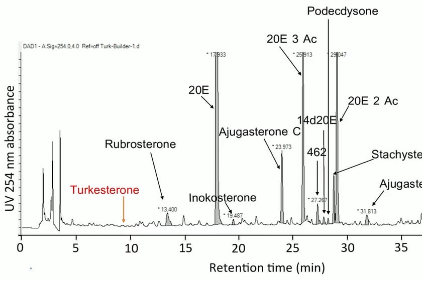 Htlt Turk Builder Lab Tests