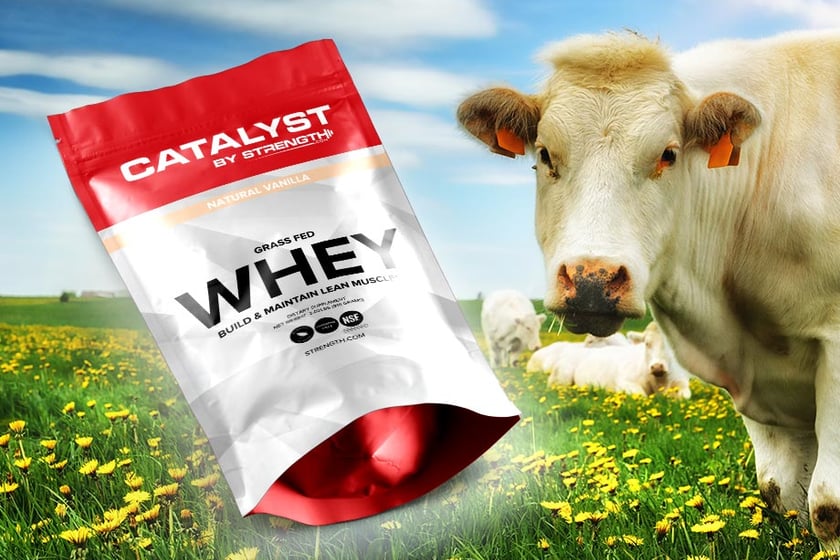 catalyst grass fed whey
