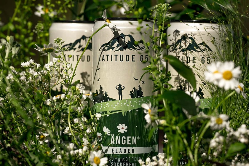 Latitude 65 Meadow Elderberry