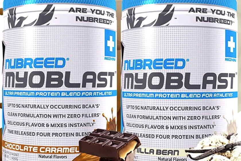 myoblast