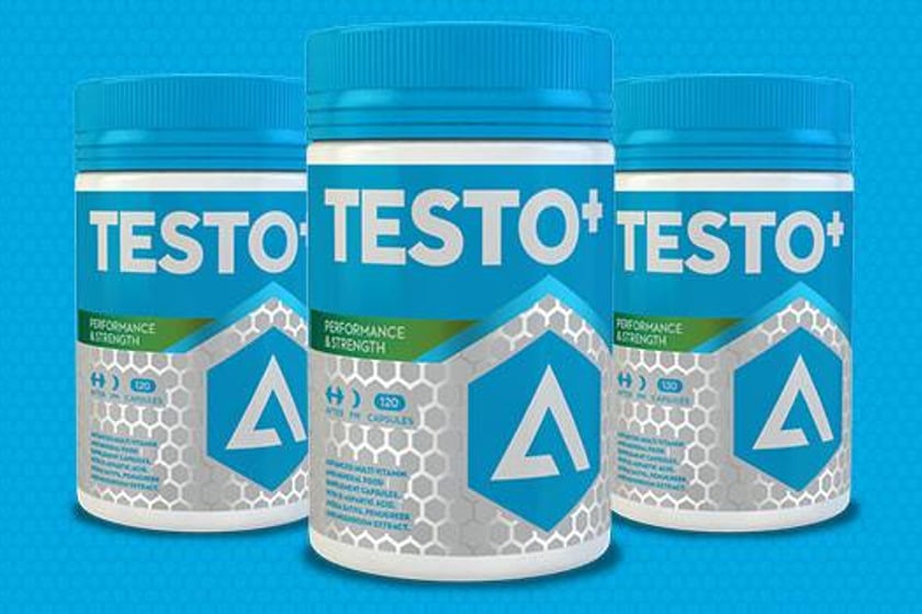 adapt testo
