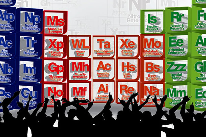 muscle elements