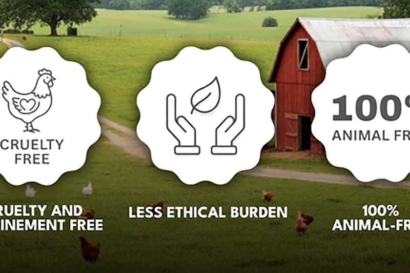 Healtheir Comforts Animal Free Egg White Protein Highlight