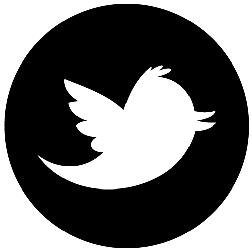 Twitter Social Media Icon