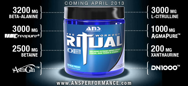 Ritual takes the spotlight away from SuperDrive, ANS Performance reveal their entire 10 feature formula
