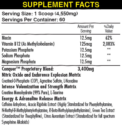iForce Nutrition Conquer formula iForce Nutrition Conquer formula