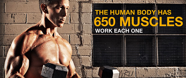 Promax Nutrition update their website to be more informative Promax Nutrition update their website to be more informative