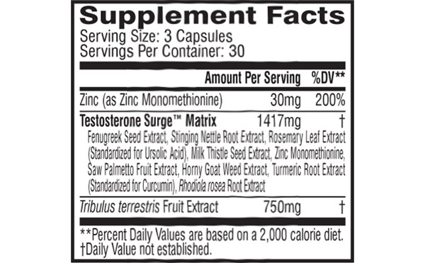 Neon Sport Surge facts panel Neon Sport Surge facts panel