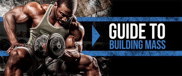 Scitec Nutrition Guide To Building Mass Scitec Nutrition Guide To Building Mass
