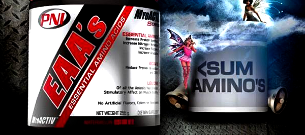 Nutraplanet launch Premium Nutraceuticals latest supplement EAA's