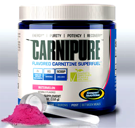 Gaspari Nutrition's Carnipure arrives at it's exclusive locations Gaspari Nutrition's Carnipure arrives at it's exclusive locations