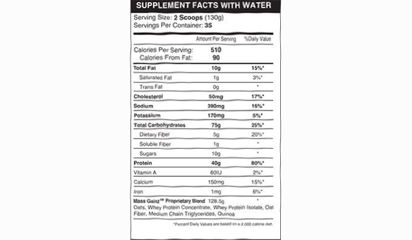 iForce Nutrition Mass Gainz US edition facts panel