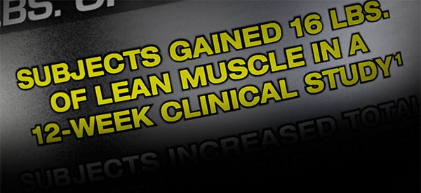 Muscletech's upcoming muscle builder set to change the industry Muscletech's upcoming muscle builder set to change the industry