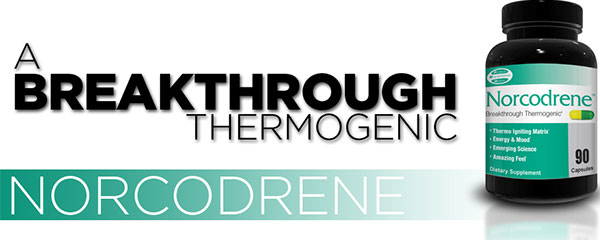 PES updated their dedicated Norcodrene website with PricePlow PES updated their dedicated Norcodrene website with PricePlow