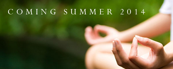 Nutrabolics all natural Verda Nutrition line set for summer Nutrabolics all natural Verda Nutrition line set for summer