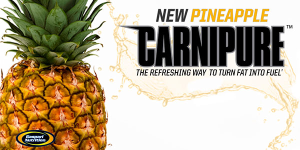 Gaspari relaese another exclusive for Bodybuilding.com with pineapple Carnipure Gaspari relaese another exclusive for Bodybuilding.com with pineapple Carnipure