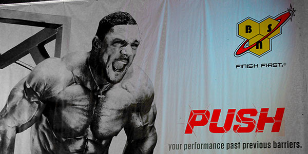 BSN confirm launch of the basic DNA Series BSN confirm launch of the basic DNA Series