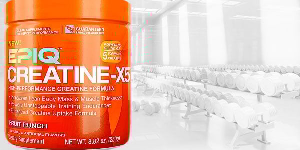 EPIQ re-enter the creatine category with their five form Creatine-X5 EPIQ re-enter the creatine category with their five form Creatine-X5