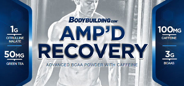 Bodybuilding.com release their second Platinum supplement for 2014 Amp'D Recovery