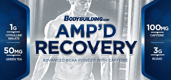 Bodybuilding.com release their second Platinum supplement for 2014 Amp'D Recovery Bodybuilding.com release their second Platinum supplement for 2014 Amp'D Recovery
