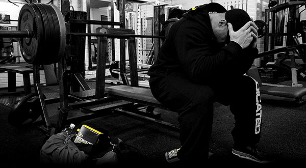 Dedicated Nutrition IG-One Dedicated Nutrition IG-One