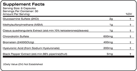 machine motion facts panel