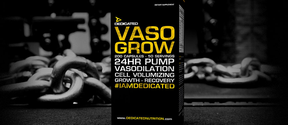 vaso grow v2