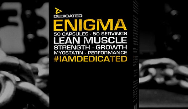 dedicated enigma