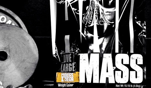 animal mass