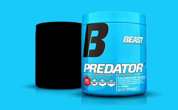 beast pump