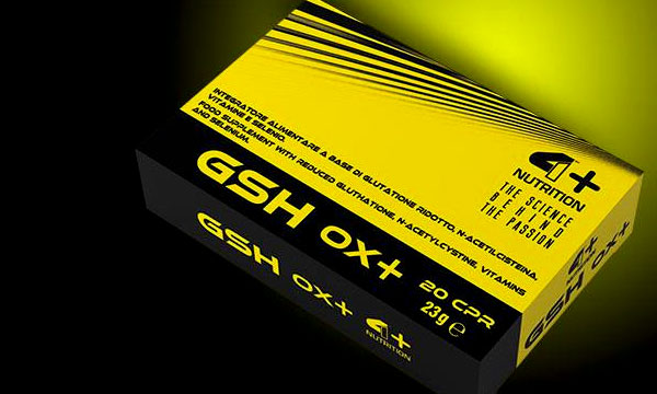 gsh ox+
