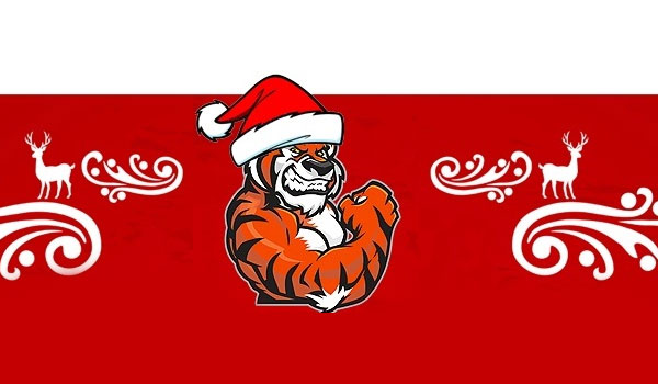 tiger fitness