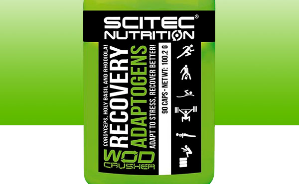 recovery adaptogens