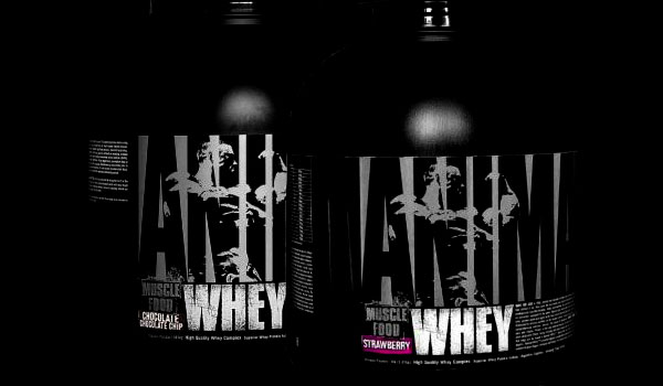 animal whey