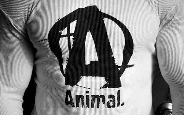 animal