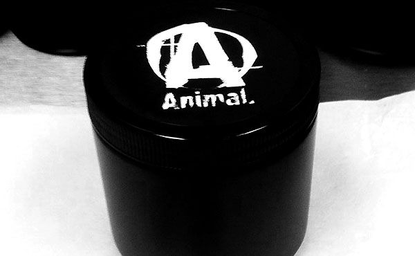 animal secret project