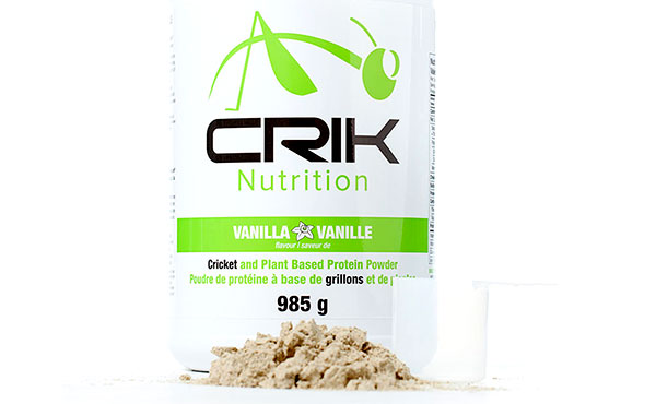 cricket protein