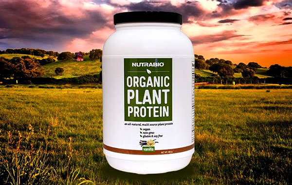 nutrabio organic plant protein