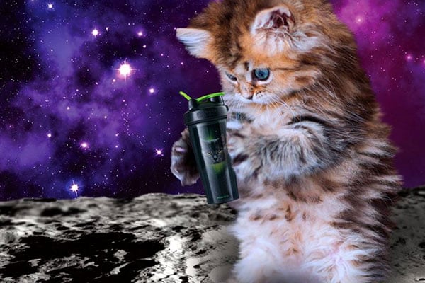 galaxy cat blenderbottle