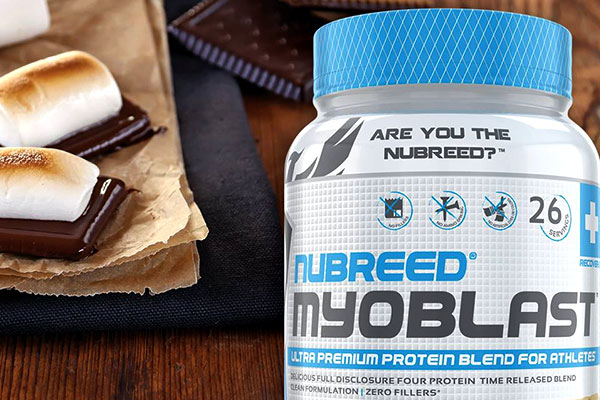 nubreed myoblast